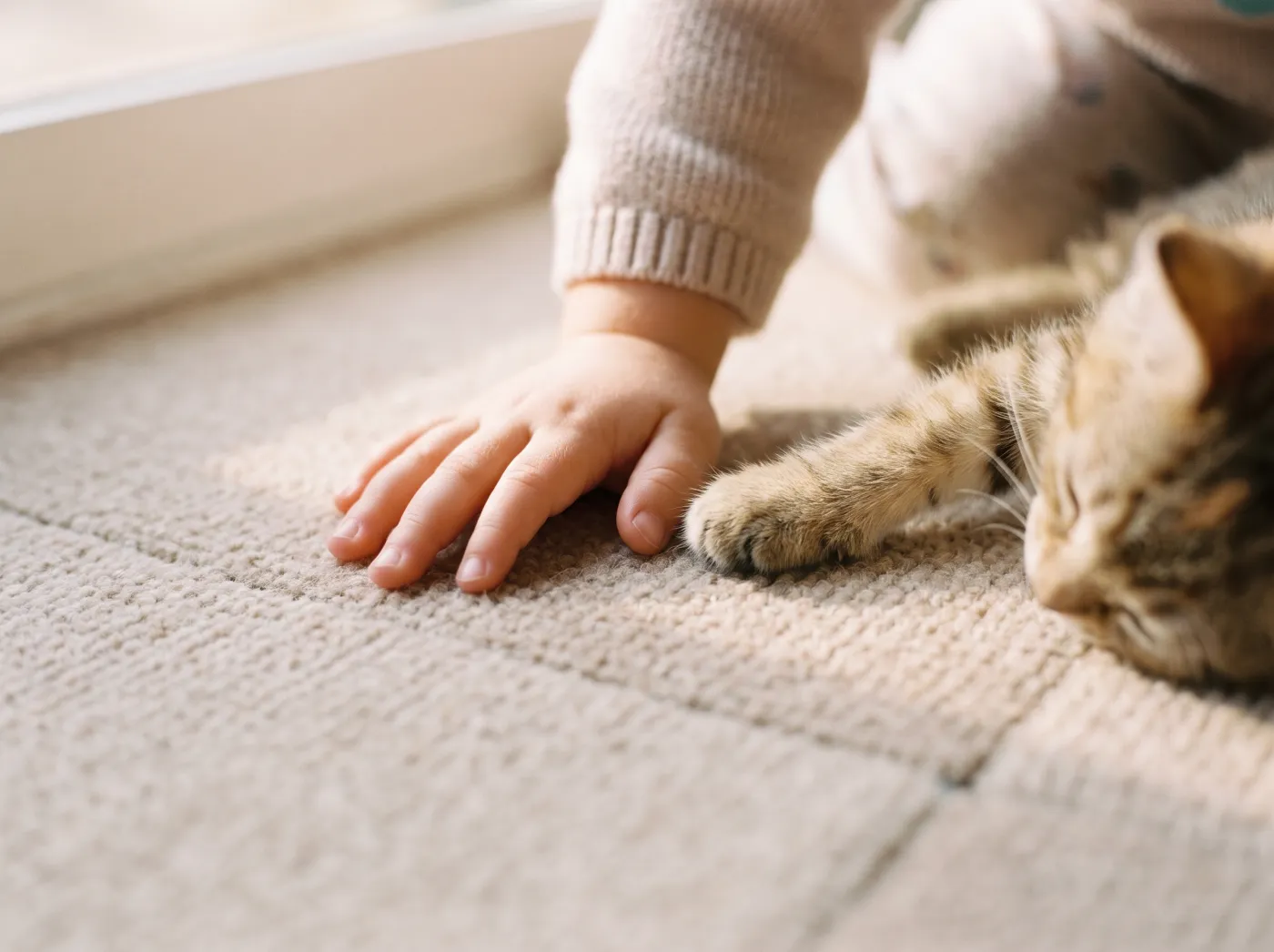 タイルカーペットの上の、子どもの手と子猫
